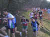 RIMG0018.JPG (71280 octets)